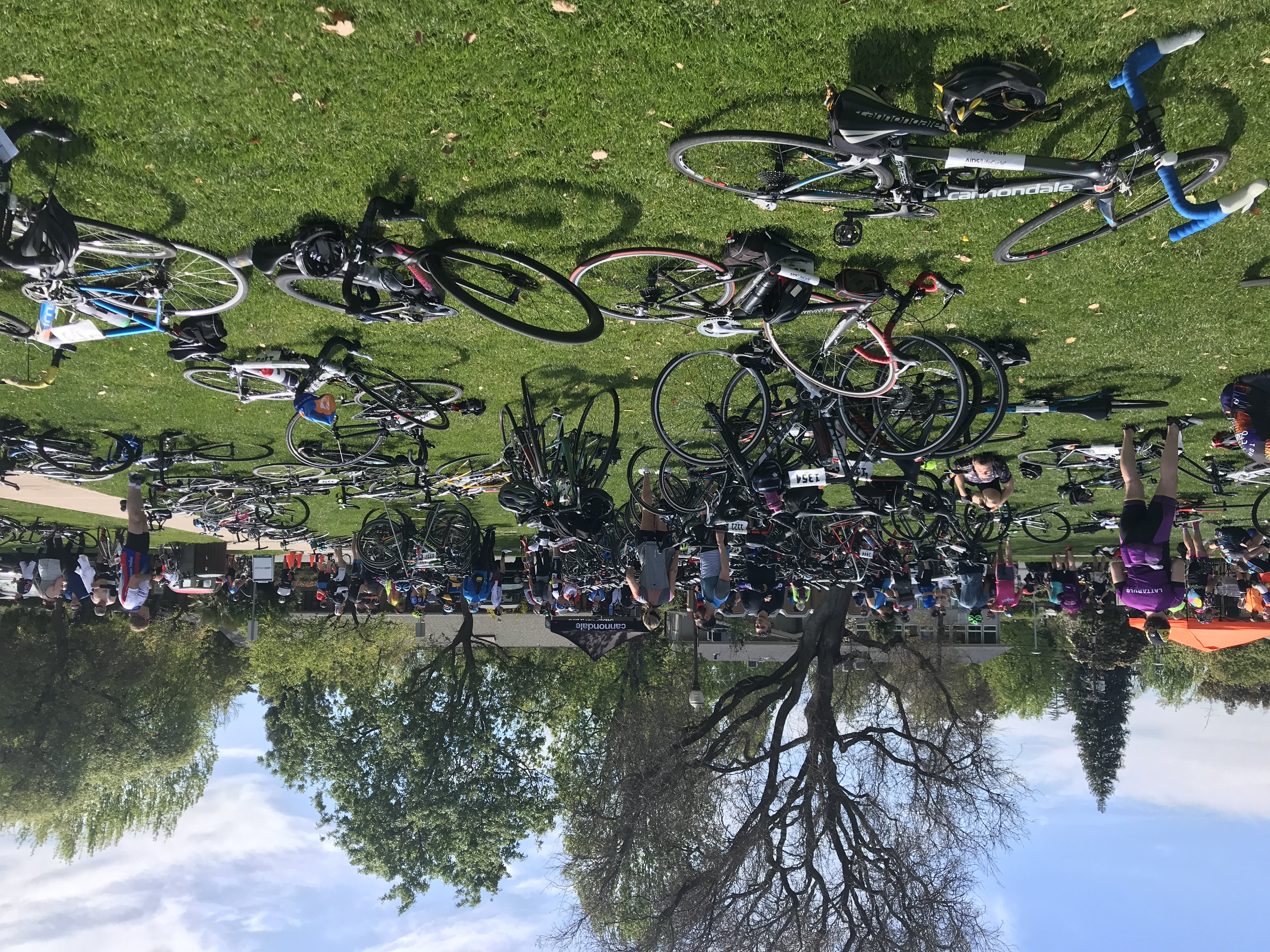 Bikes at lunch stop