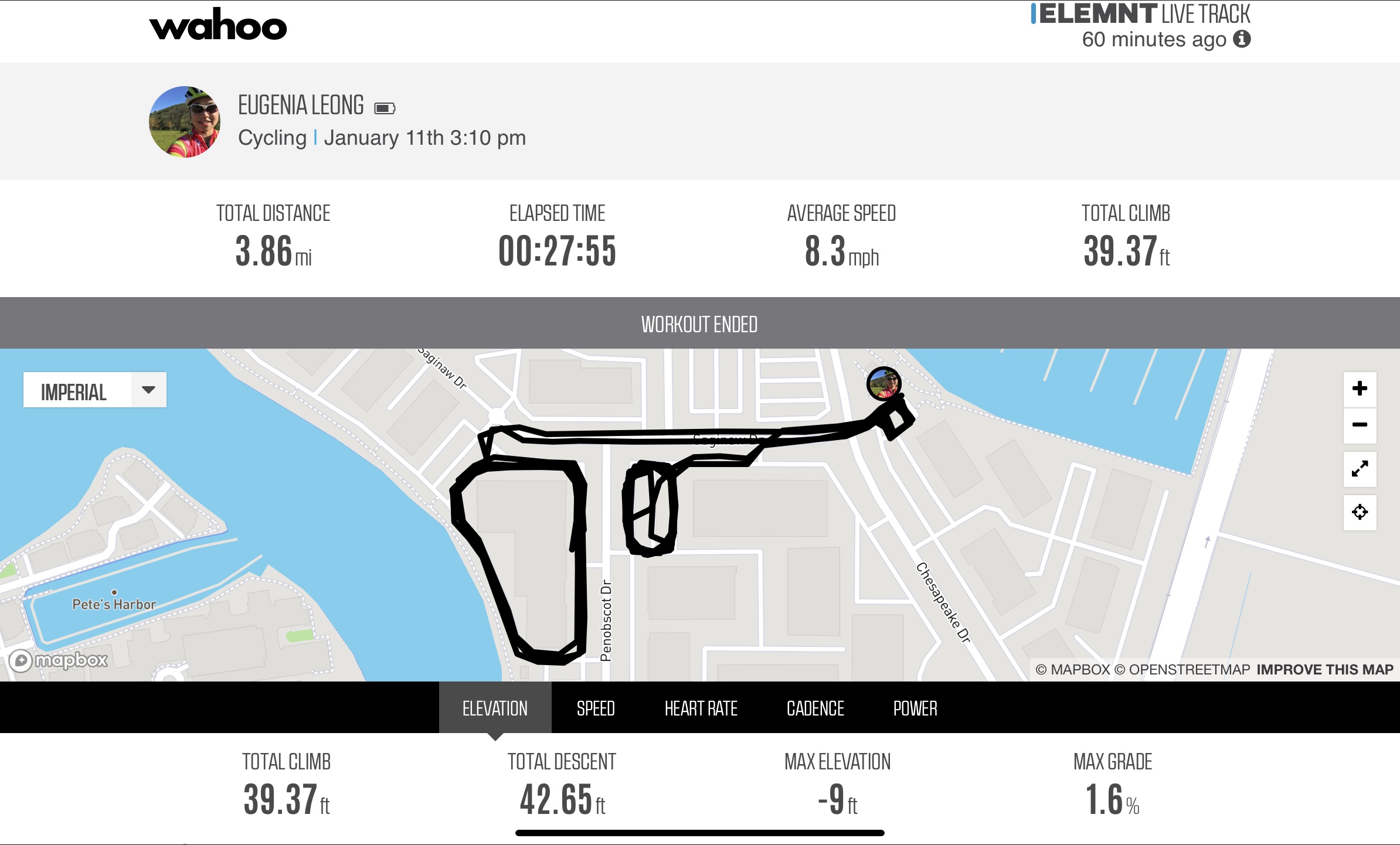 ELEMNT live tracking page